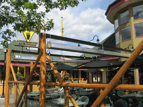 infrared-patio-heaters-mounted-with-steel-and-log-structure